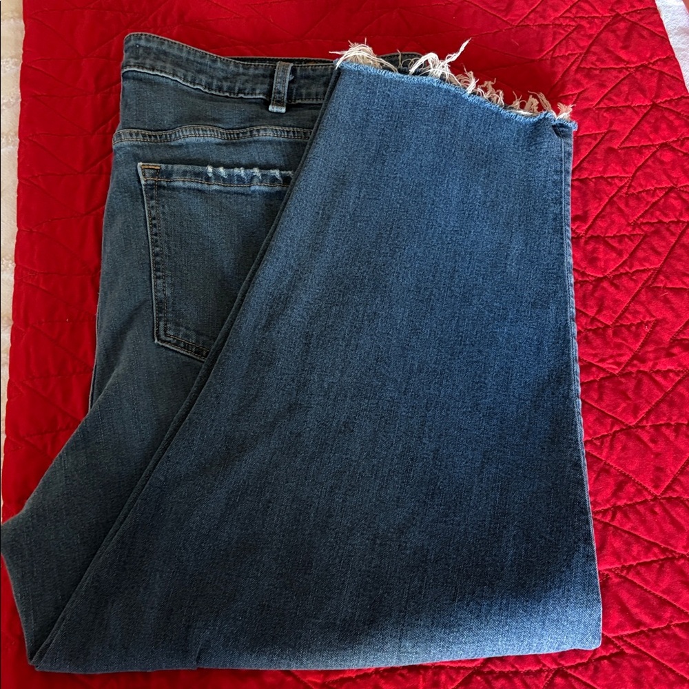 Lane Bryant Jeans size 22